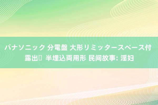 パナソニック 分電盤 大形リミッタースペース付 露出・半埋込両用形 民间故事: 淫妇