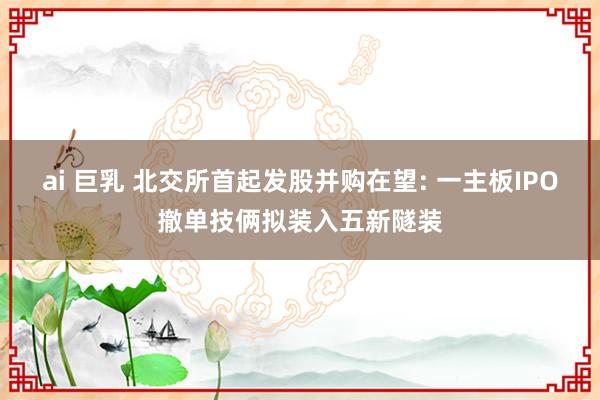 ai 巨乳 北交所首起发股并购在望: 一主板IPO撤单技俩拟装入五新隧装