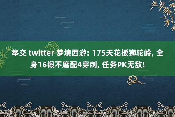 拳交 twitter 梦境西游: 175天花板狮驼岭， 全身16锻不磨配4穿刺， 任务PK无敌!